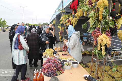 نخستین جشنواره ملی انگور در شهرستان مشگین‌شهر برگزار شد