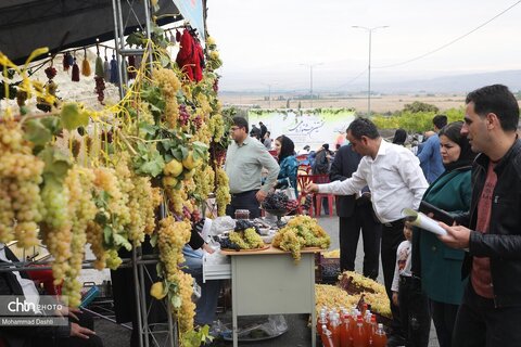 نخستین جشنواره ملی انگور در شهرستان مشگین‌شهر برگزار شد