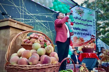 جشنواره گردشگری شکرانه برداشت هلو در شندآباد شبستر برگزار شد/ فعالیت ۱۰۰ غرفه برای عرضه محصولات بومی مختلف