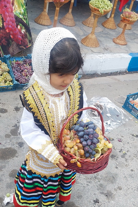 جشنواره انگور تاکستان