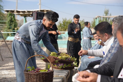 جشنواره انگور