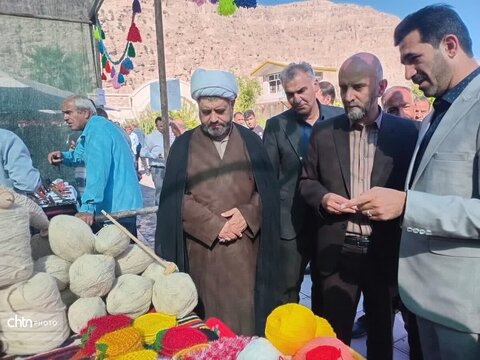 جشنواره انجیر در شهرستان پلدختر