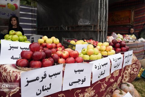 اولین جشنواره ملی سیب مشگین شهر