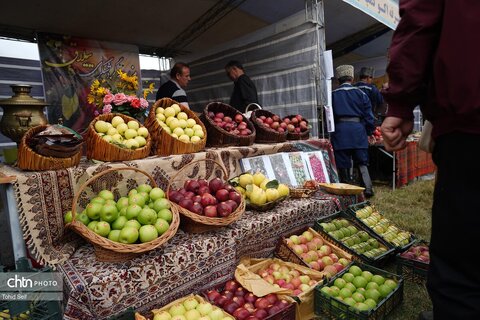 اولین جشنواره ملی سیب مشگین شهر