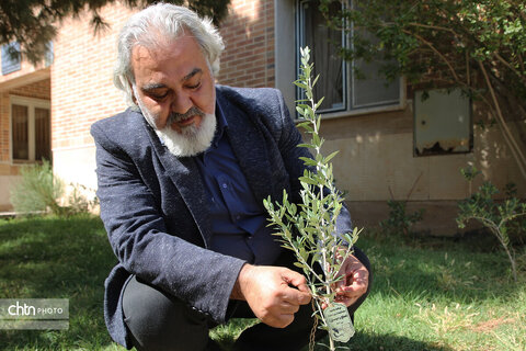 نشست علمی تخصصی گردشگری و صلح در قم