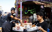 پیاده‌روی اربعین همبستگی و همدلی ملت‌ها و مذاهب را به تصویر کشید