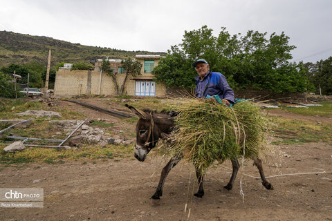 زندگی روستایی و عشایری