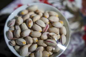 برگزاری جشنواره پسته روستای رباط شهربابک