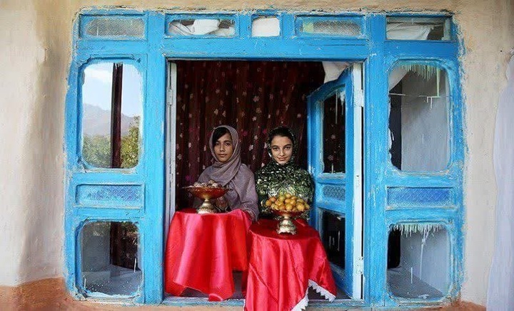 سومین جشنواره آلو در شهرستان بهار برگزار می‌شود