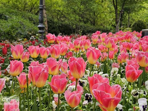 باغ ایرانی یکی از جاذبه های گردشگری تهران