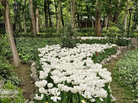 باغ ایرانی یکی از جاذبه های گردشگری تهران