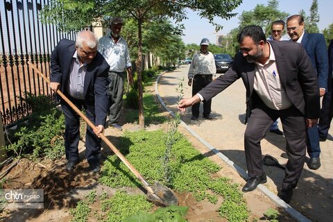 کاشت نهال زیتون در حاشیه برگزاری نشست تخصصی اقتصاد گردشگری در قم