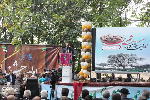 اولین جشنواره گردوی ثمرین در اردبیل برگزار شد