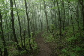 صدور موافقت اصولی برای احداث هتل ۵ ‌ستاره در کلیبر/ سرمایه‌گذاری بیش از ۵۵ هزار میلیارد ریالی در شجاع‌آباد