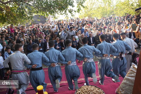 نخستین جشنواره بادام و عسل بیلوار کرمانشاه برگزار شد/ مسیر جدید گردشگری معرفی می‌شود