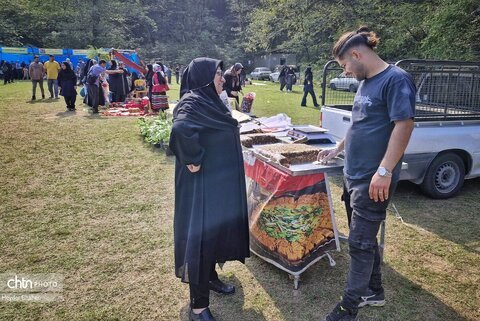 برگزاری سومین جشنواره زرد کیجا در مازندران