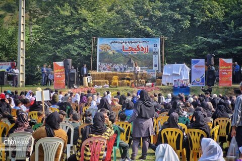 برگزاری سومین جشنواره زرد کیجا در مازندران