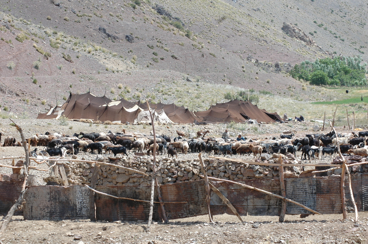 میراث سنگسر و تاریخی شگفت‌انگیز