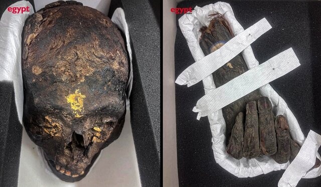 استرداد مومیاییهای طلایی به مصر