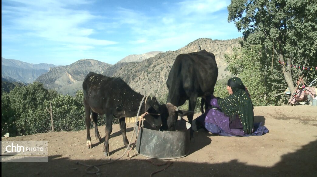 «نان چهارسنگ» یزد و «بازی چوزورکی» لرستان ثبت‌ملی شد