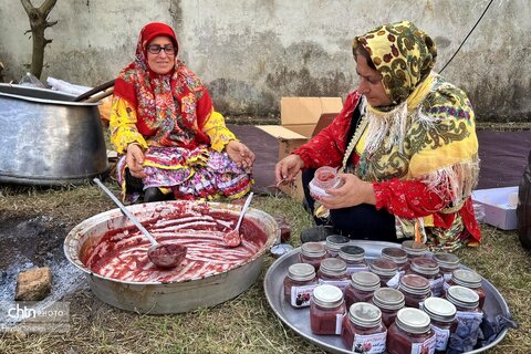 اولین جشنواره انار ترشی در ساری