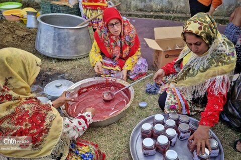 اولین جشنواره انار ترشی در ساری