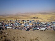 برگزاری آیین شکرگزاری برداشت محصول گندم در روستای سنقرآباد و قراقیه همدان