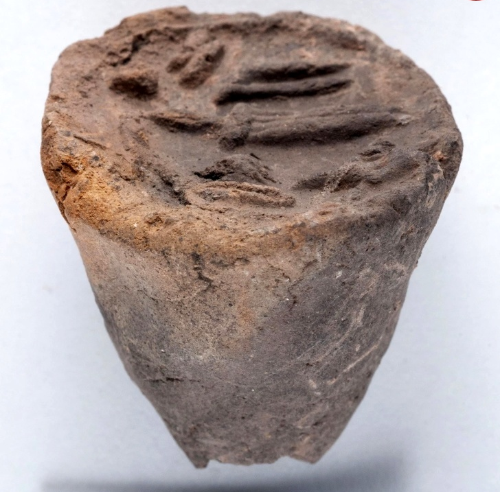 مُهر ۳۵۰۰ ساله یک شاهزاده از زیر خاک بیرون آمد/ پرسروصدا و بحثبرانگیز! مُهر ۳۵۰۰ ساله یک شاهزاده از زیر خاک بیرون آمد/ پرسروصدا و بحثبرانگیز!