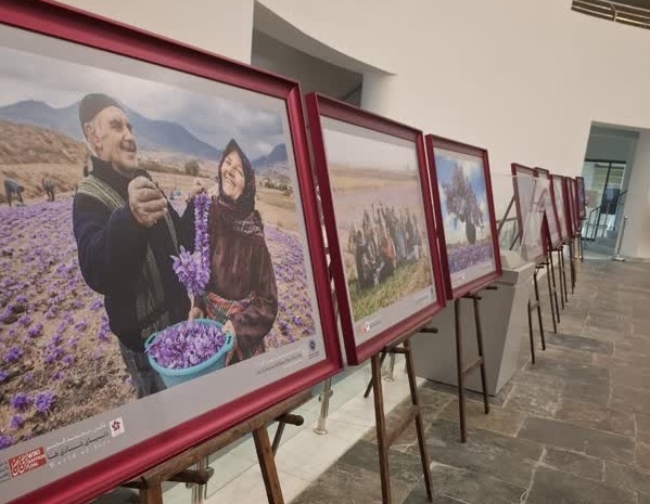 افتتاح نمایشگاه عکس زعفران در موزه بزرگ خراسان