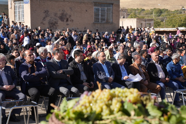 جشنواره انگور روستای کندوله کرمانشاه برگزار شد/ جشنواره انگور کندوله در تقویم رویدادهای استان کرمانشاه ثبت می‌شود