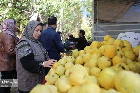 پنجمین جشنواره هیوا در باغ شهر گیوی استان اردبیل