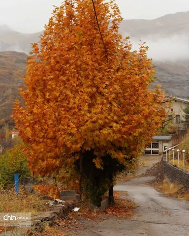 پاییز زیبای شهرستان طالقان