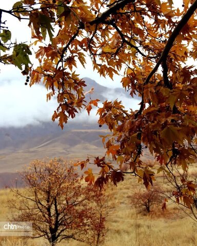 پاییز زیبای شهرستان طالقان