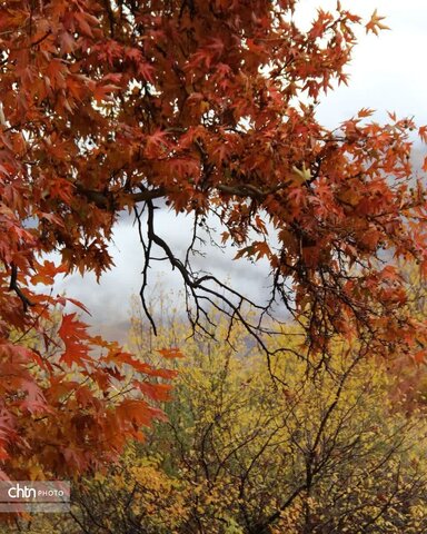 پاییز زیبای شهرستان طالقان