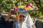 هفتمین جشنواره آلو در ملحمدره شهرستان اسدآباد برگزار شد