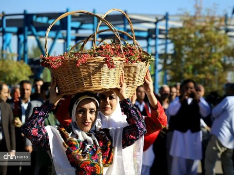 برگزاری جشنواره زعفران و زرشک در قاین همزمان با فصل گردشگری خراسان جنوبی