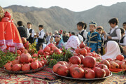 اولین جشنواره انار نمهیل شهرستان خلخال