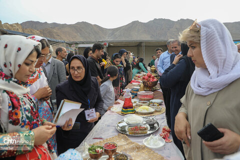 اولین جشنواره انار نمهیل