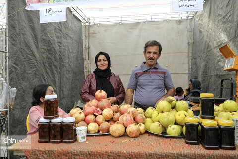 اولین جشنواره انار نمهیل