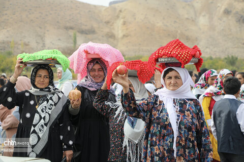 اولین جشنواره انار نمهیل