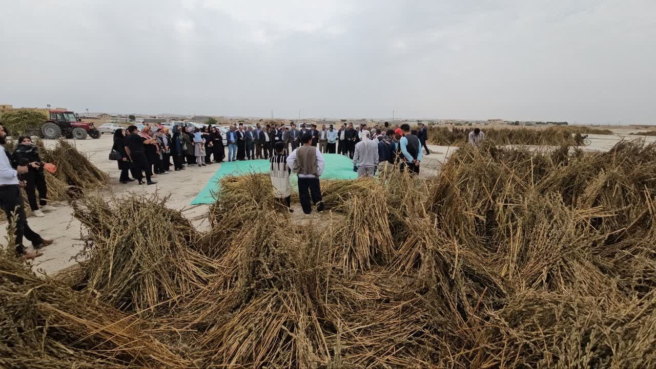 اولین جشنواره ملی محصولات کنجدی بهبهان برگزار شد