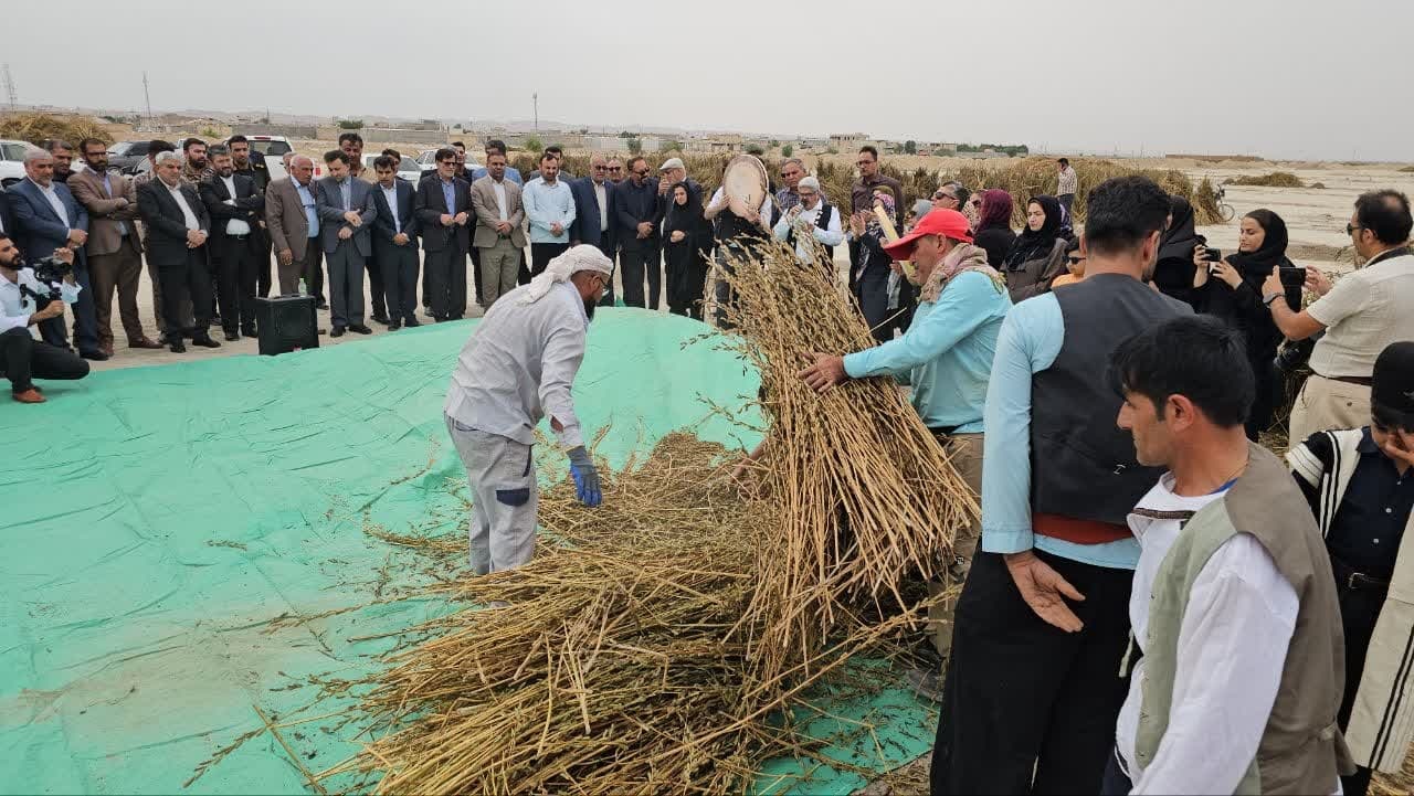 اولین جشنواره ملی محصولات کنجدی بهبهان برگزار شد