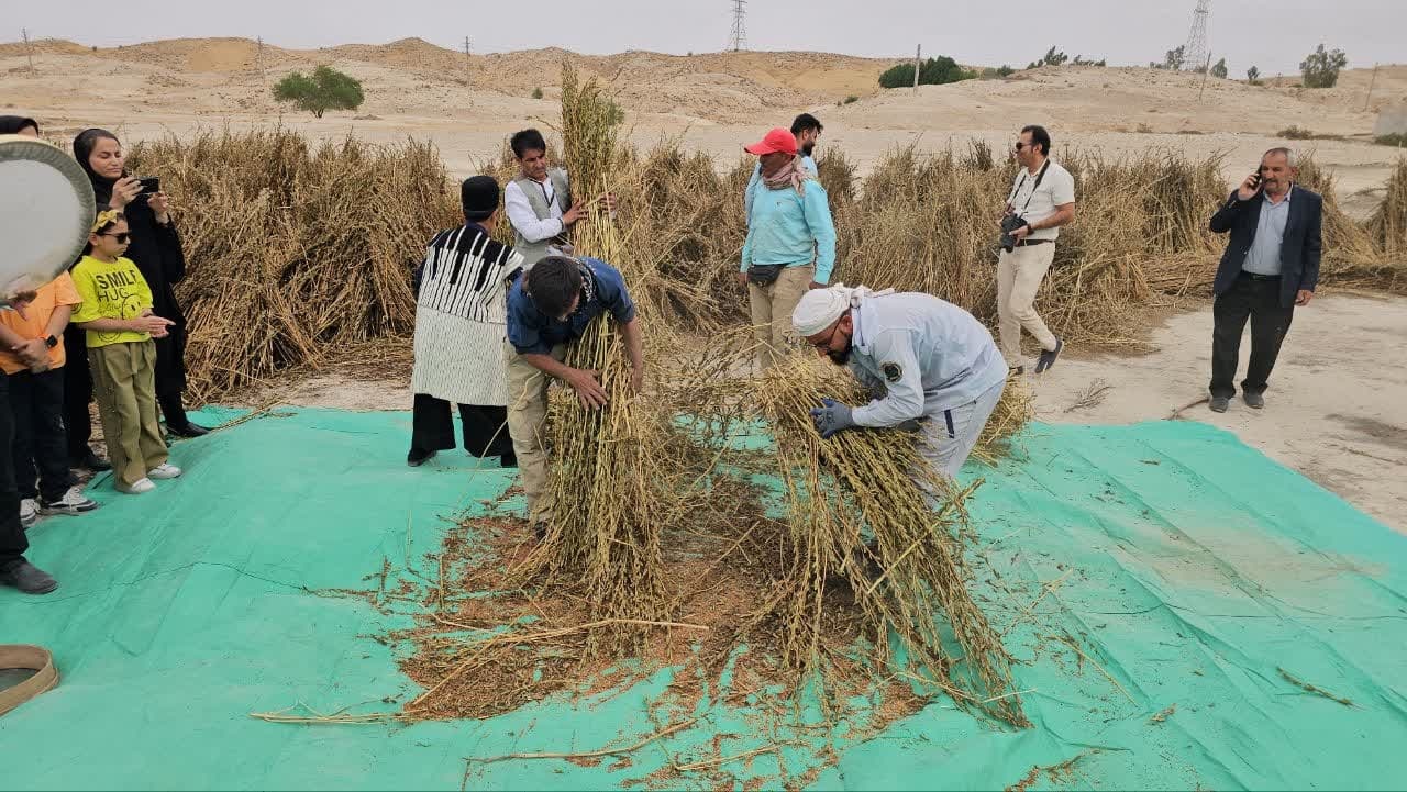 اولین جشنواره ملی محصولات کنجدی بهبهان برگزار شد