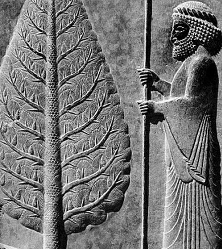 نقش درخت سرو در دستبافتهها و هنر ایرانی