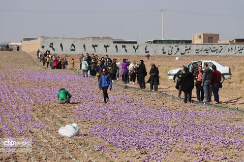 دهمین جشنواره گردشکری زعفران تربت حیدریه