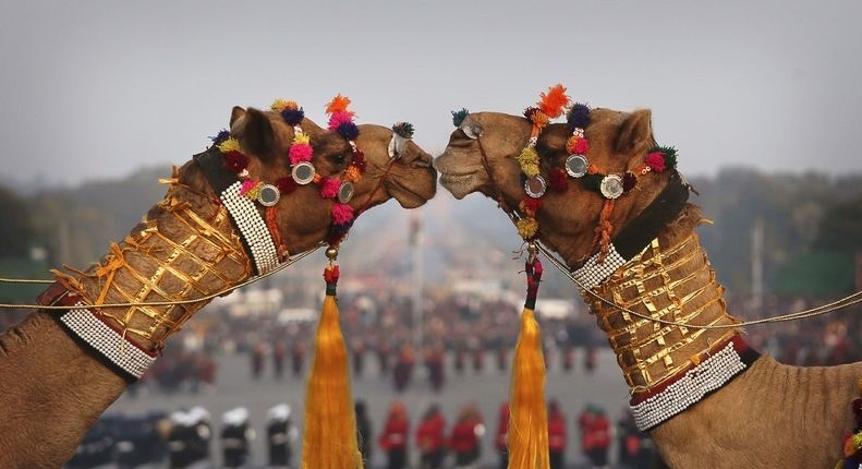 ترکیه چگونه سنتهایش را جهانی کرد و بالنهایش را به پرواز درآورد؟/ جشنوارهها به مثابه پلهایی بین فرهنگها و جاذبههای توریستی