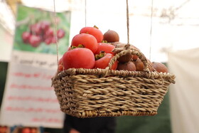 مراسم افتتاحیه جشنواره ای با طعم میوه های بهشتی