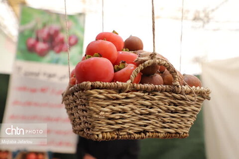 مراسم افتتاحیه جشنواره ای با طعم میوه های بهشتی