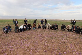 تور ویژه آشناسازی کنسولگری های کشورهای خارجی مقیم مشهد از ظرفیت های گردشگری محور تربت حیدریه و بجستان