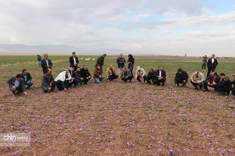 تور ویژه آشناسازی کنسولگری های کشورهای خارجی مقیم مشهد از ظرفیت های گردشگری محور تربت حیدریه و بجستان